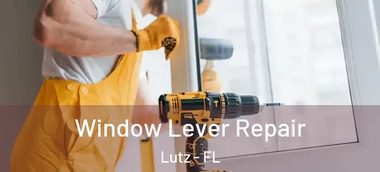 Window Lever Repair Lutz - FL