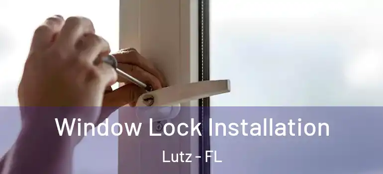Window Lock Installation Lutz - FL