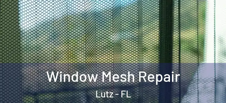 Window Mesh Repair Lutz - FL