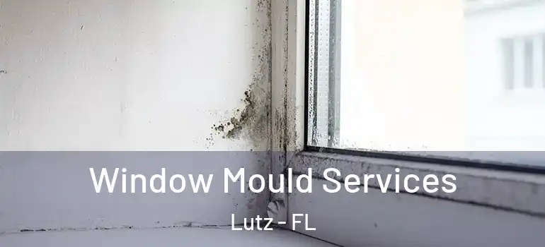 Window Mould Services Lutz - FL