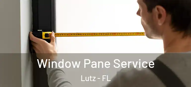 Window Pane Service Lutz - FL