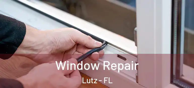 Window Repair Lutz - FL