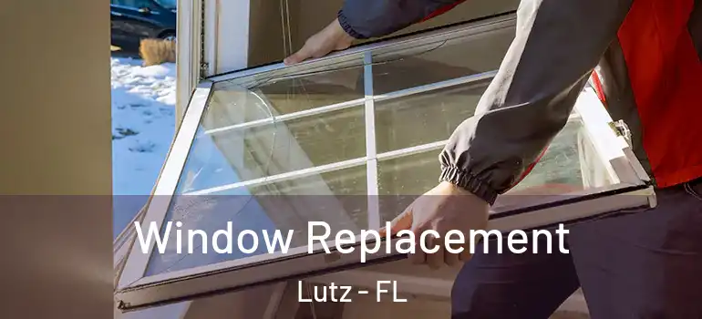 Window Replacement Lutz - FL