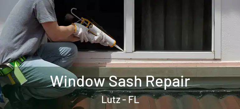 Window Sash Repair Lutz - FL