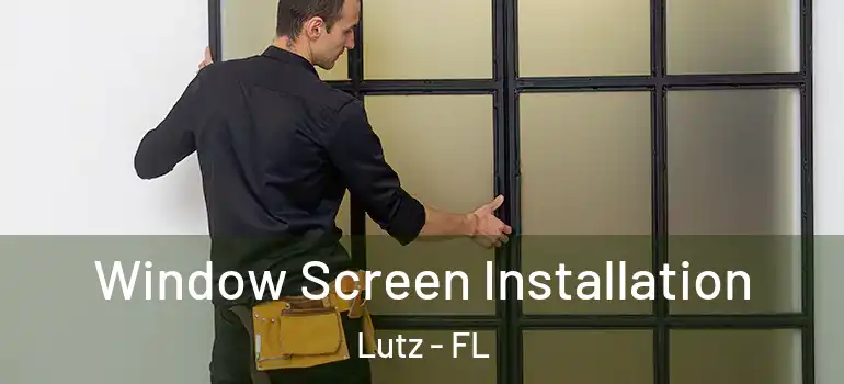 Window Screen Installation Lutz - FL