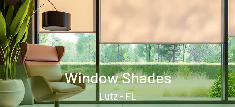 Window Shades Lutz - FL