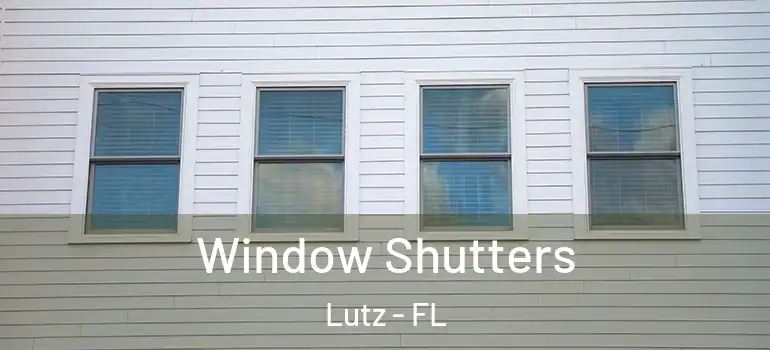 Window Shutters Lutz - FL