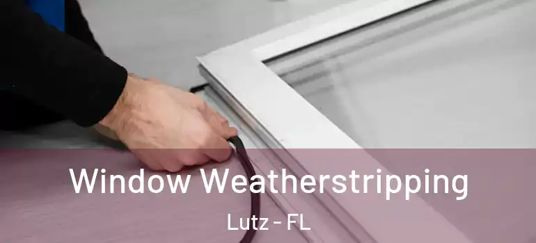Window Weatherstripping Lutz - FL