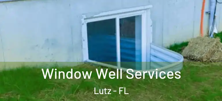 Window Well Services Lutz - FL