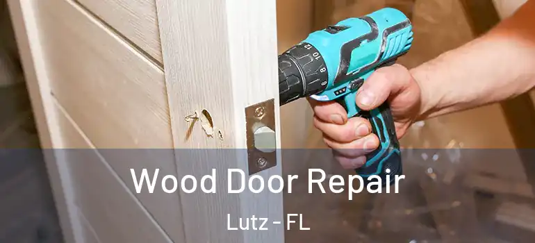 Wood Door Repair Lutz - FL